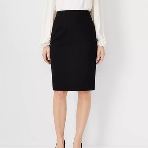 Ann Taylor Skirt